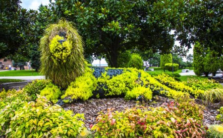 एक बार जरुर घूमें मुंबई के इन फेमस गार्डन और पार्को में | Must visit once in these famous gardens and parks of Mumbai