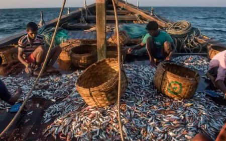 मुंबई फिशिंग पॉइंट्स | Fishing Point in Mumbai