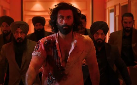 Animal Box Office Collection Day 4: रणबीर कपूर-स्टारर भारत में 250 करोड़ रुपये का आंकड़ा पार करने के लिए तैयार है