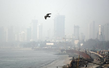  5 साल में मुंबईकरों को जनवरी के महीने में मिली सबसे साफ हवा !