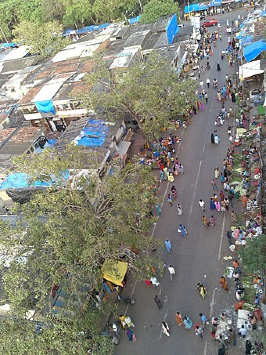 धारावी मुंबई की सबसे बड़ी झुग्गी, मिथक और वास्तविकताएँ
