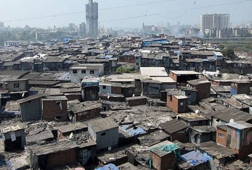 Mumbai news : 255 परिवार को जल्द से जल्द घर खाली करने का नोटिस  दिया है, धारावी रीडिवेलपमेंट प्रॉजेक्ट के तहत से हुआ ऐसा