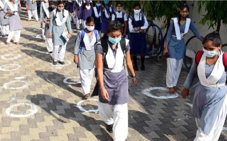 बॉम्बे हाई कोर्ट ने निजी स्कूलों को क्यों लगाई  रोक, महाराष्ट्र सरकार से मांगा यह जवाब?