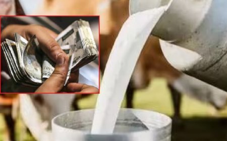 Cow milk subsidy in maharashtra : महाराष्ट्र में गाय के दूध पर सब्सिडी: 
