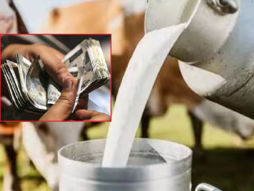 Cow milk subsidy in maharashtra : महाराष्ट्र में गाय के दूध पर सब्सिडी: 