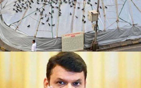 मुंबई के इस प्रसिद्ध जगह पर लगी बैन, लेकिन सरकार द्वारा दिख रही है राहत की उम्मीद !