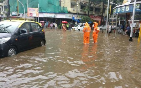 Palghar | Naigaon : बारिश में फंसे परिवार को सोशल मीडिया से मिली राहत !