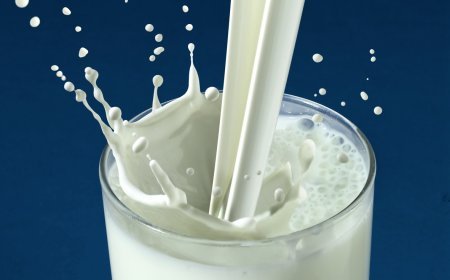 GST हटने के बाद दूध आई भारी गिरावट जानिये कितना सस्ता हुआ ?