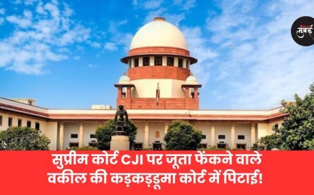 सुप्रीम कोर्ट CJI पर जूता फेंकने वाले वकील की कड़कड़डूमा कोर्ट में पिटाई!