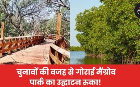 चुनावों की वजह से गोराई मैंग्रोव पार्क का उद्घाटन रुका!