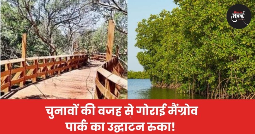 चुनावों की वजह से गोराई मैंग्रोव पार्क का उद्घाटन रुका!